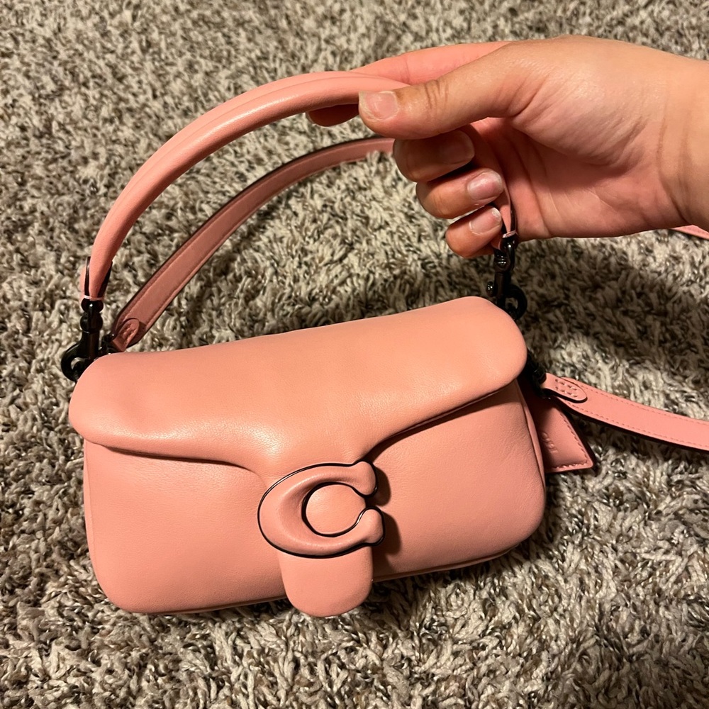 Pink Coach Pillow Tabby 18 in